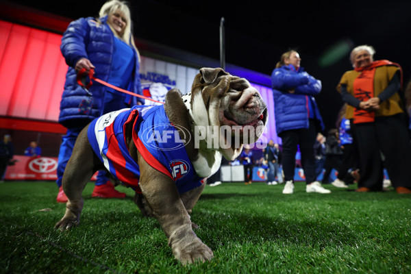 AFLW 2025 Round 03 - Western Bulldogs v Hawthorn - A-62126987