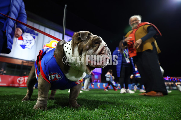 AFLW 2025 Round 03 - Western Bulldogs v Hawthorn - A-62126988
