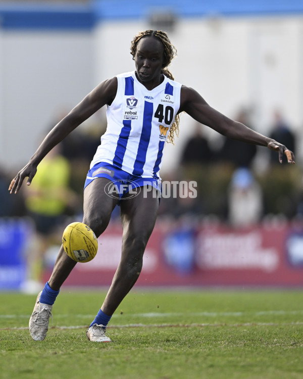 VFLW 2025 Grand Final - Collingwood v North Melbourne-Werribee - A-62129541