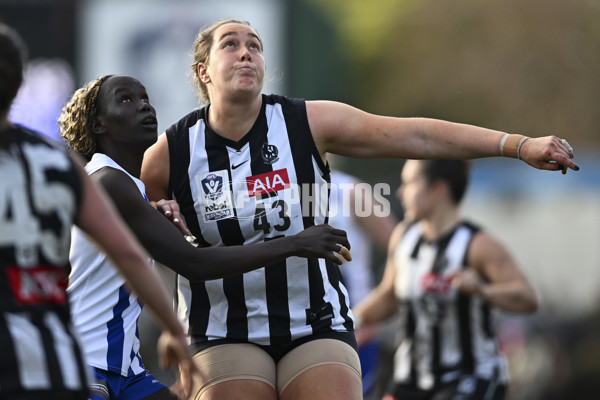 VFLW 2025 Grand Final - Collingwood v North Melbourne-Werribee - A-62131349