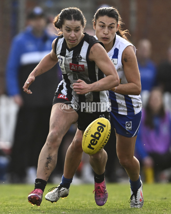 VFLW 2025 Grand Final - Collingwood v North Melbourne-Werribee - A-62132524