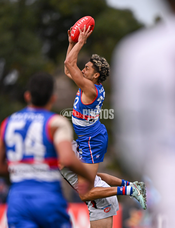 VFL 2025 Qualifying Final - Footscray Bulldogs v Frankston - A-62135393