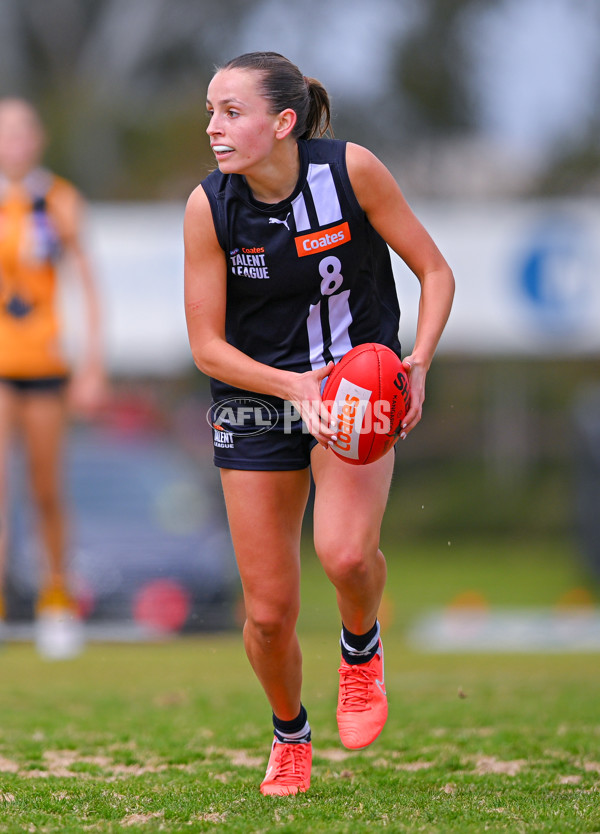 Coates League Girls 2025 Quarter Final - Dandenong Stingrays v Geelong Falcons - A-62136410