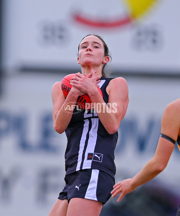 Coates League Girls 2025 Quarter Final - Dandenong Stingrays v Geelong Falcons - A-62137711