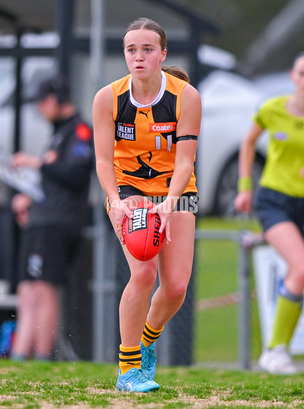 Coates League Girls 2025 Quarter Final - Dandenong Stingrays v Geelong Falcons - A-62139254