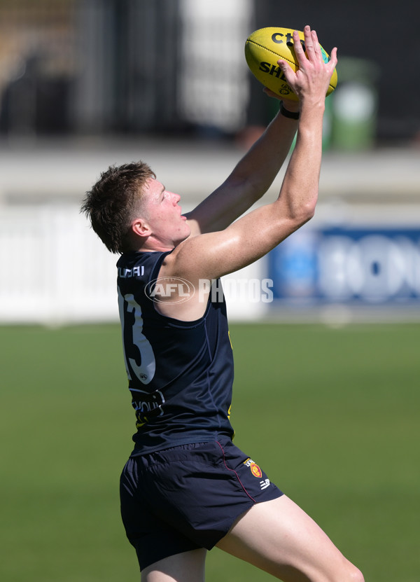 AFL 2025 Training - Brisbane 020925 - A-62167471