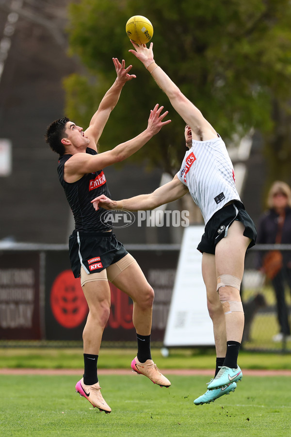 AFL 2025 Training - Collingwood 020925 - A-62167508