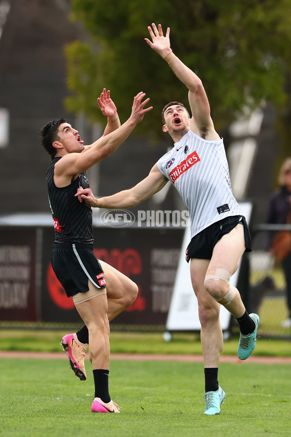 AFL 2025 Training - Collingwood 020925 - A-62167620