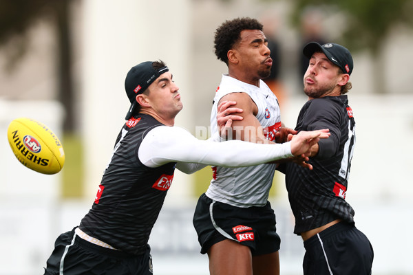 AFL 2025 Training - Collingwood 020925 - A-62171118