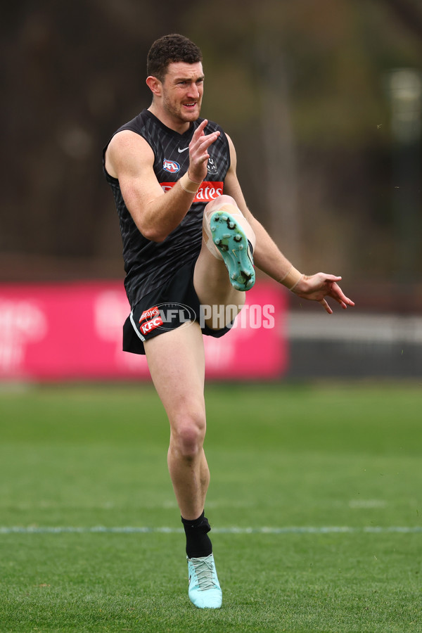 AFL 2025 Training - Collingwood 020925 - A-62176693
