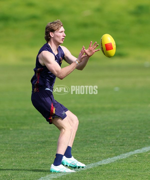 AFL 2025 Training - Adelaide 030925 - A-62200999