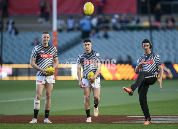 AFL 2025 First Qualifying Final - Adelaide v Collingwood - A-62201039