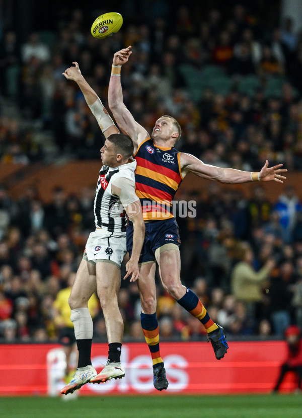 AFL 2025 First Qualifying Final - Adelaide v Collingwood - A-62212862