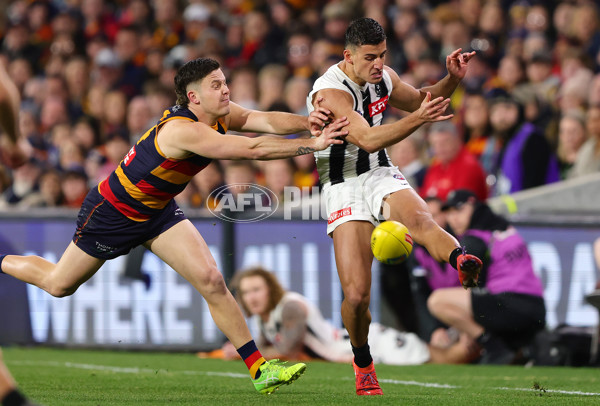 AFL 2025 First Qualifying Final - Adelaide v Collingwood - A-62213508