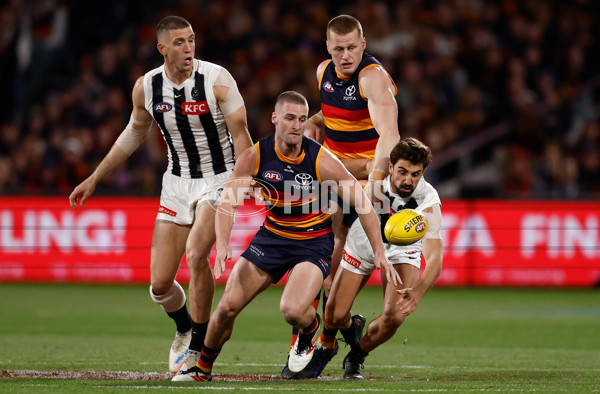 AFL 2025 First Qualifying Final - Adelaide v Collingwood - A-62213522