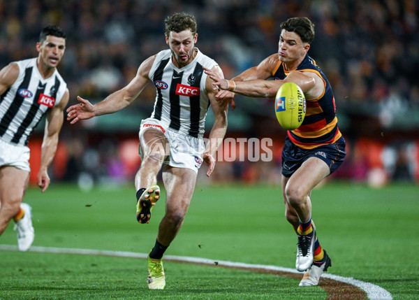 AFL 2025 First Qualifying Final - Adelaide v Collingwood - A-62213532
