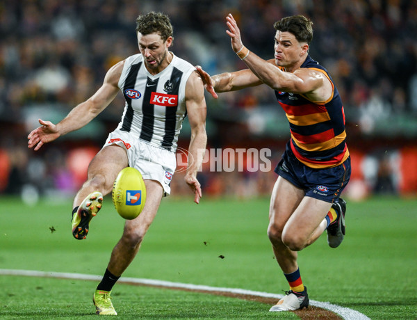 AFL 2025 First Qualifying Final - Adelaide v Collingwood - A-62213533
