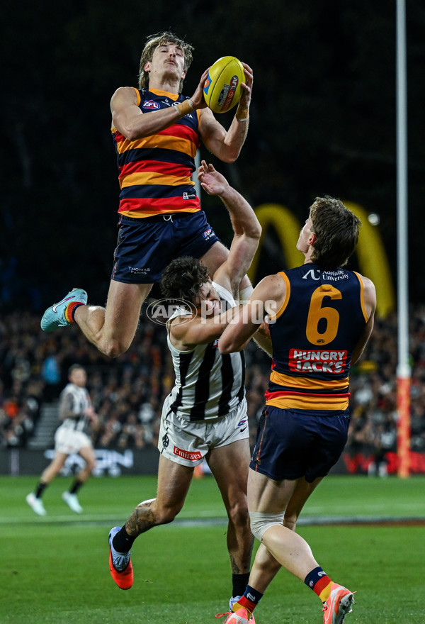 AFL 2025 First Qualifying Final - Adelaide v Collingwood - A-62215155
