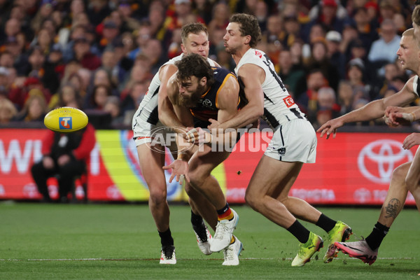 AFL 2025 First Qualifying Final - Adelaide v Collingwood - A-62215188