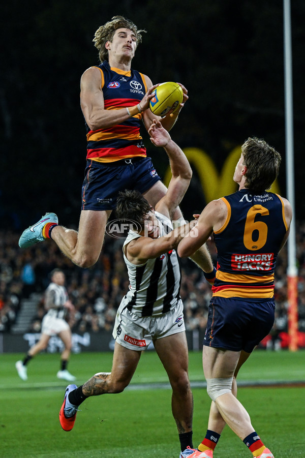 AFL 2025 First Qualifying Final - Adelaide v Collingwood - A-62216028