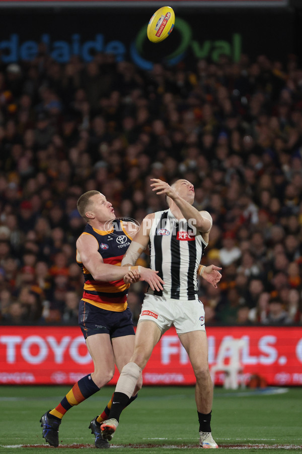 AFL 2025 First Qualifying Final - Adelaide v Collingwood - A-62216066