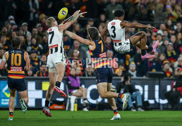 AFL 2025 First Qualifying Final - Adelaide v Collingwood - A-62217735