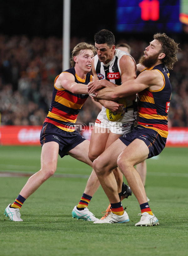 AFL 2025 First Qualifying Final - Adelaide v Collingwood - A-62217766