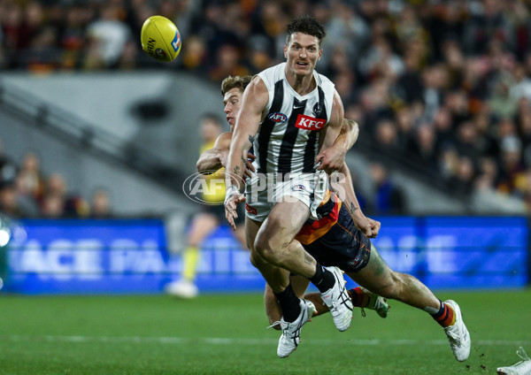 AFL 2025 First Qualifying Final - Adelaide v Collingwood - A-62218381