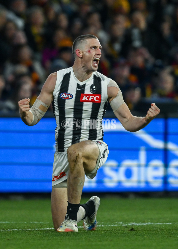 AFL 2025 First Qualifying Final - Adelaide v Collingwood - A-62220256