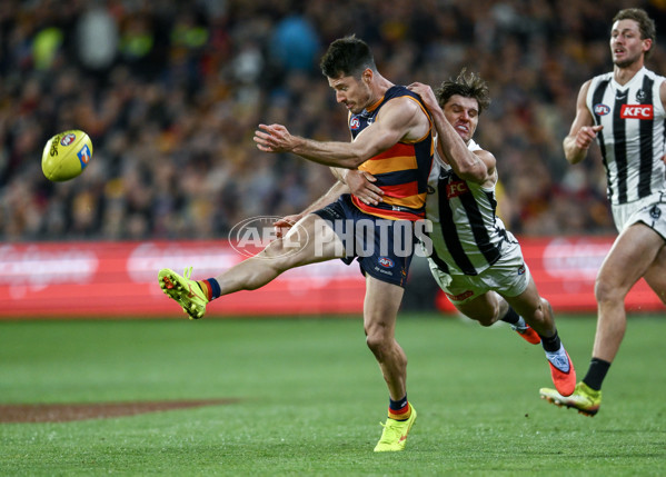 AFL 2025 First Qualifying Final - Adelaide v Collingwood - A-62220326