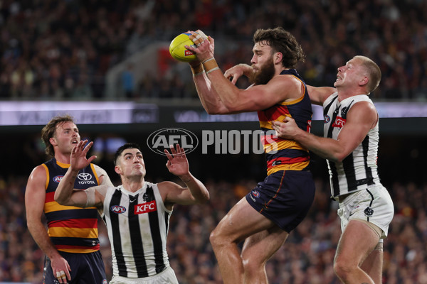 AFL 2025 First Qualifying Final - Adelaide v Collingwood - A-62220842