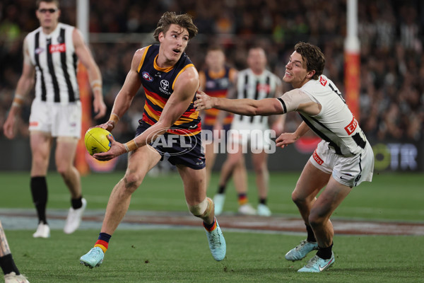 AFL 2025 First Qualifying Final - Adelaide v Collingwood - A-62223171