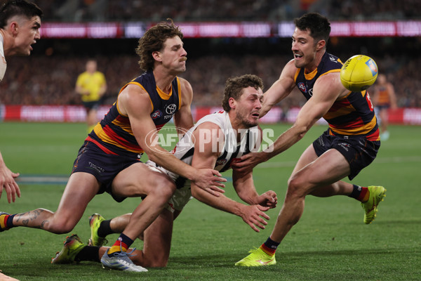 AFL 2025 First Qualifying Final - Adelaide v Collingwood - A-62223200