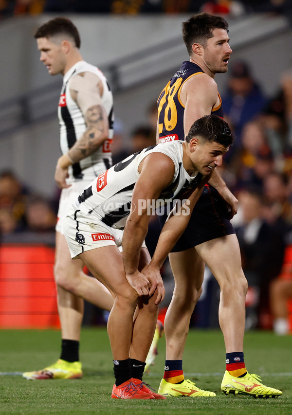 AFL 2025 First Qualifying Final - Adelaide v Collingwood - A-62227278