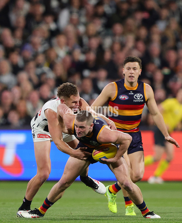 AFL 2025 First Qualifying Final - Adelaide v Collingwood - A-62227309