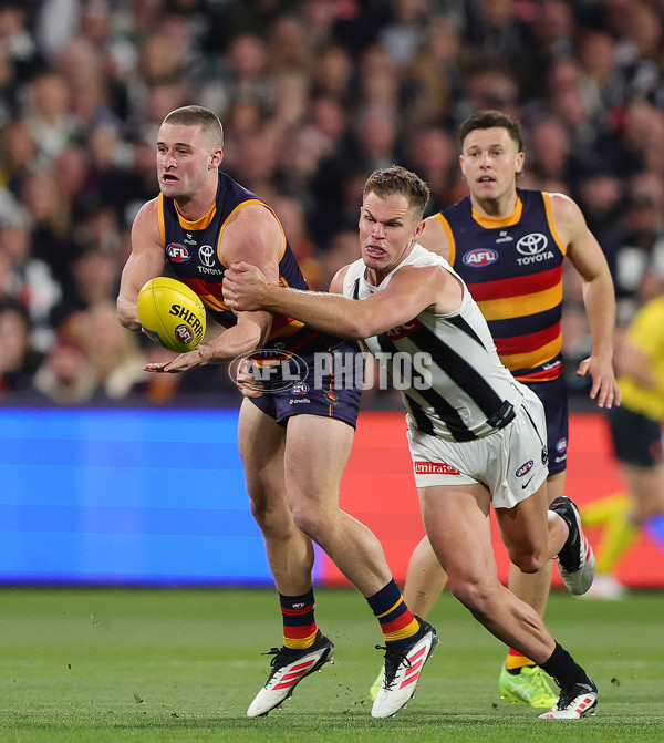 AFL 2025 First Qualifying Final - Adelaide v Collingwood - A-62228556