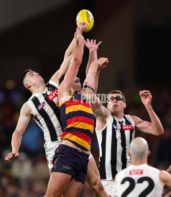 AFL 2025 First Qualifying Final - Adelaide v Collingwood - A-62228594