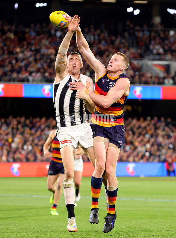 AFL 2025 First Qualifying Final - Adelaide v Collingwood - A-62228615