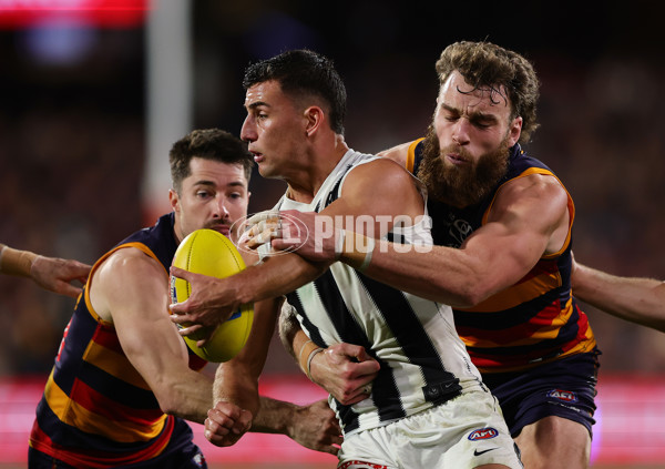 AFL 2025 First Qualifying Final - Adelaide v Collingwood - A-62228618