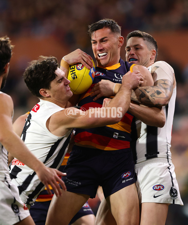 AFL 2025 First Qualifying Final - Adelaide v Collingwood - A-62229435