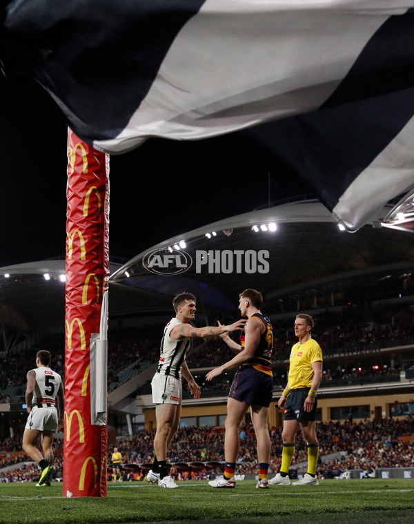 AFL 2025 First Qualifying Final - Adelaide v Collingwood - A-62229438