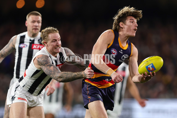 AFL 2025 First Qualifying Final - Adelaide v Collingwood - A-62229454