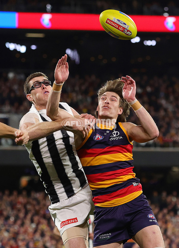 AFL 2025 First Qualifying Final - Adelaide v Collingwood - A-62229457