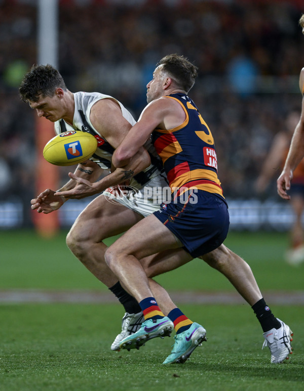 AFL 2025 First Qualifying Final - Adelaide v Collingwood - A-62229506