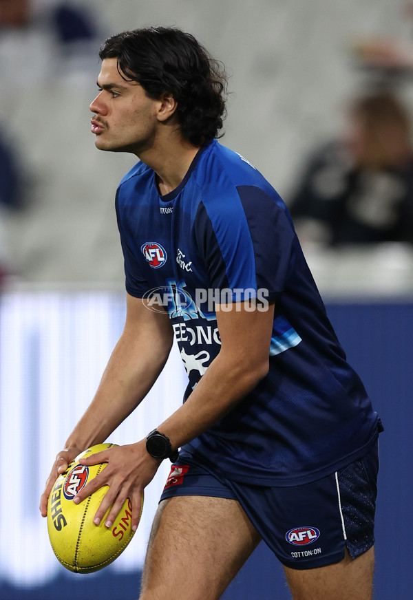AFL 2025 Second Qualifying Final - Geelong v Brisbane - A-62231897