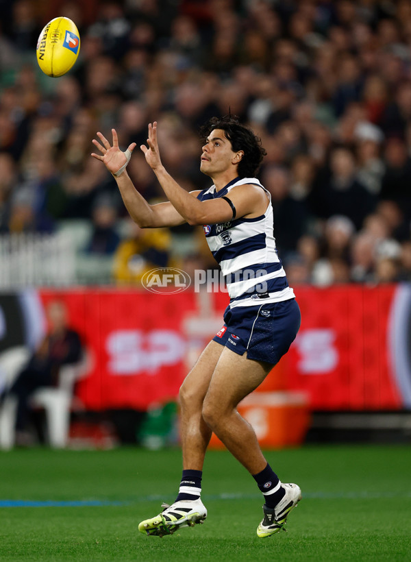 AFL 2025 Second Qualifying Final - Geelong v Brisbane - A-62235093