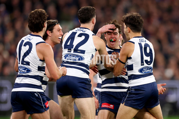 AFL 2025 Second Qualifying Final - Geelong v Brisbane - A-62239684