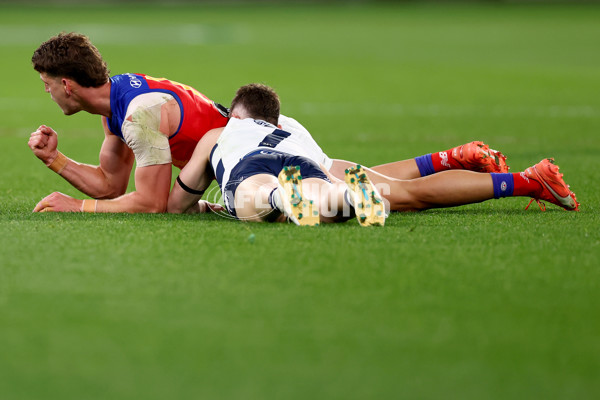 AFL 2025 Second Qualifying Final - Geelong v Brisbane - A-62241586