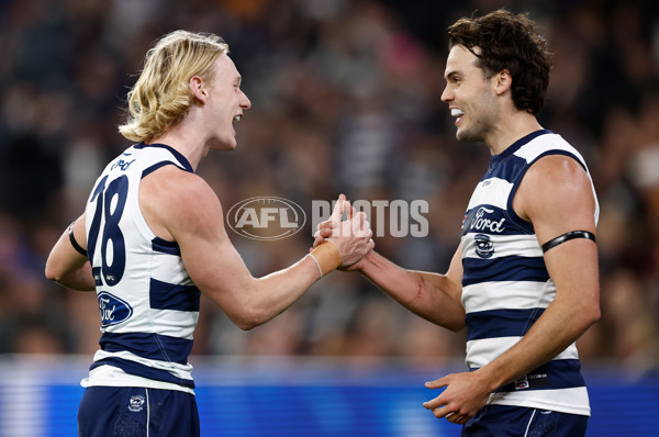 AFL 2025 Second Qualifying Final - Geelong v Brisbane - A-62242325