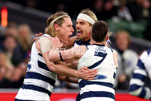 AFL 2025 Second Qualifying Final - Geelong v Brisbane - A-62244456